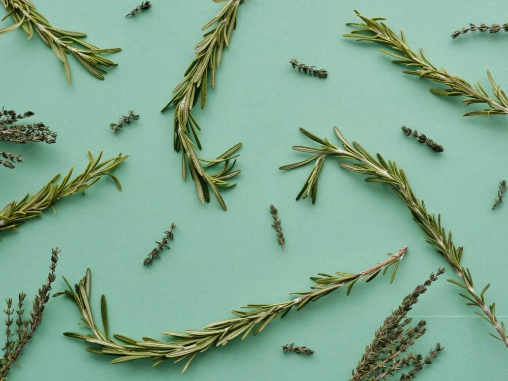 What Makes Rosemary Hair Oil Worth Ordering Again
