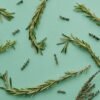 What Makes Rosemary Hair Oil Worth Ordering Again - Hair Care Tips - customizable organic hair care