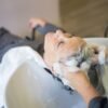 What to Know Before Choosing Scalp Massage Benefits - Hair Care Tips - customizable organic hair care